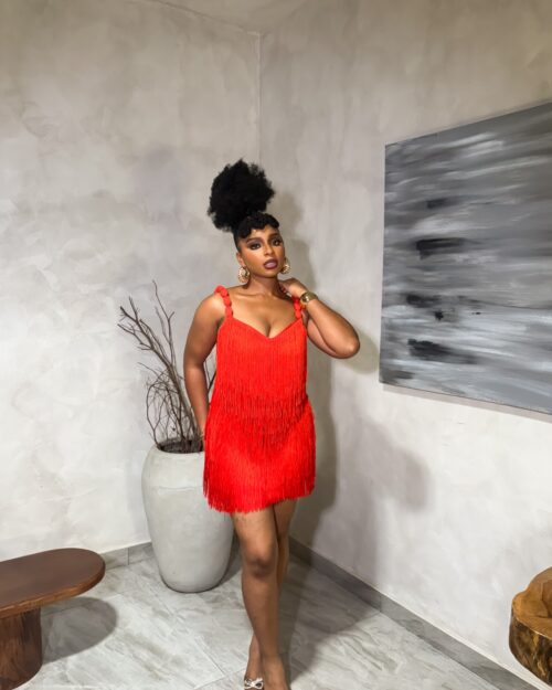 Mini Fringe Dress